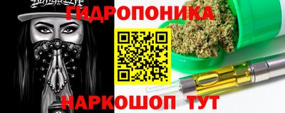 индика Лесосибирск