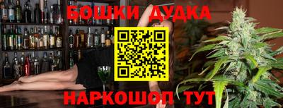 индика Лесосибирск