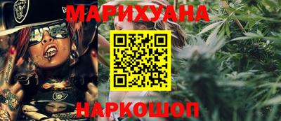 индика Лесосибирск