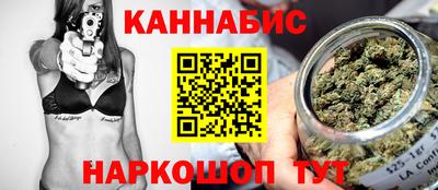 индика Лесосибирск