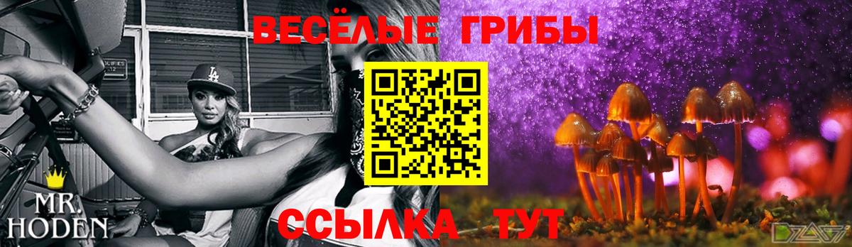 Псилоцибиновые грибы ЛСД Вышний Волочёк