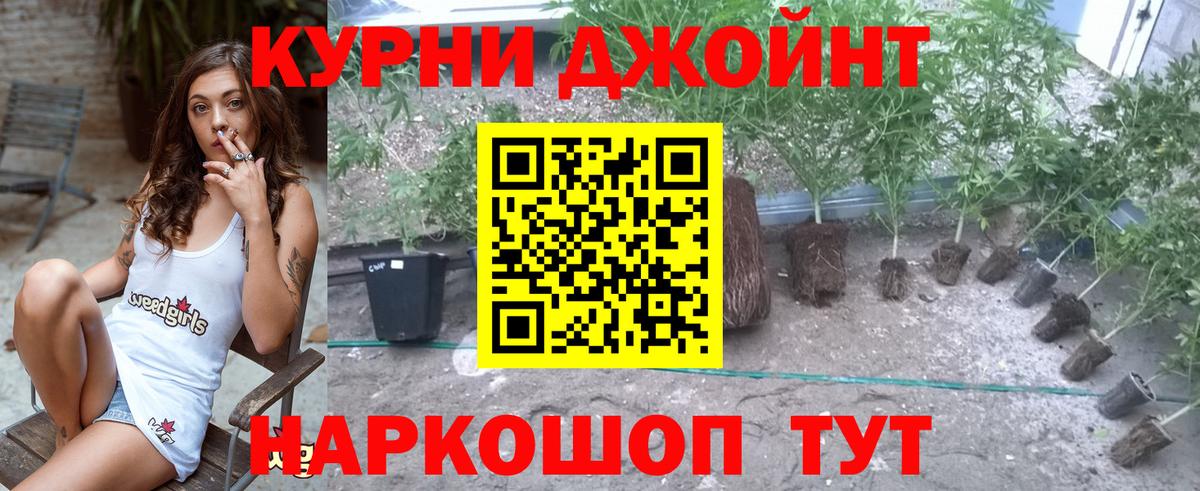 Шишки марихуана сатива Вышний Волочёк